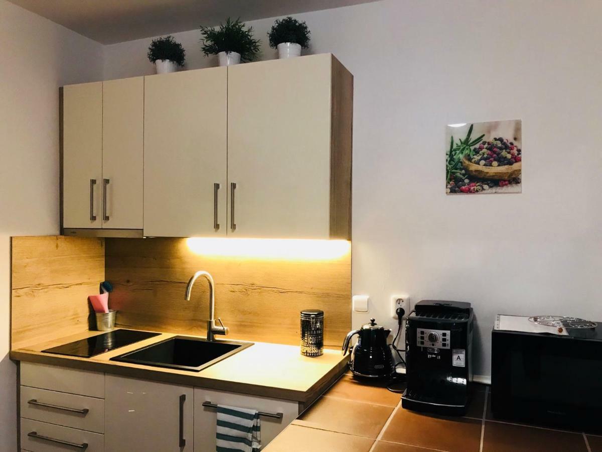 Apartament Vila Jensen Harrachov Zewnętrze zdjęcie